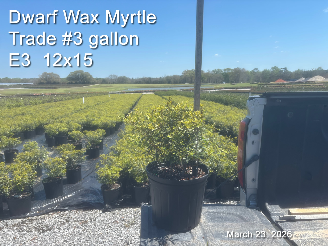 gallery/dwm3t e3 mar23.jpg